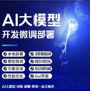 AI������deepseek����ʵսѵ��Ӫ�