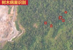 �ǻ����˻�Ѳ���˳���ֻ������ȫñ���̻�е���ʶ��